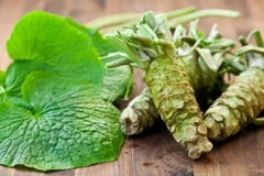 Loại củ đắt bậc nhất thế giới, 6 triệu đồng/kg tại Việt Nam 