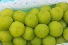 Nho sữa Trung Quốc giảm giá mạnh chỉ còn 15.000 đồng/kg
