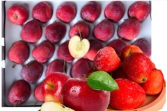 Táo cherry đắt gấp 2–3 lần táo thường vẫn "cháy hàng" 