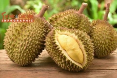 [INFOGRAPHIC] Sầu riêng đắt nhất thế giới hơn 1 tỷ đồng/trái
