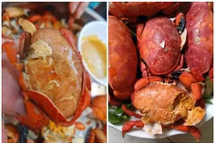 Cua hoàng đế phiên bản Việt gây sốt ở Quảng Ninh ngon, rẻ cỡ nào?