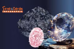 [INFOGRAPHIC] 5 viên kim cương đắt nhất mọi thời đại