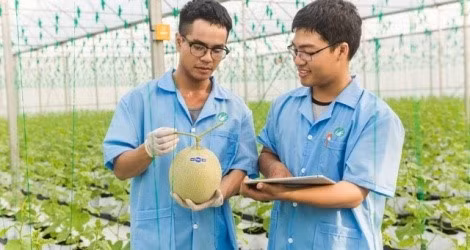 pan-farm-ndxi.jpg