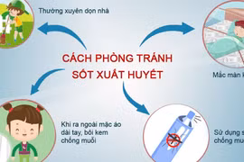 Cà Mau: Ca sốt xuất huyết tăng 200%, ngành y tế khẩn trương phòng dịch