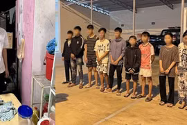 Nhóm “đạo chích tuổi teen” sa lưới sau nhiều vụ trộm ở Đà Nẵng
