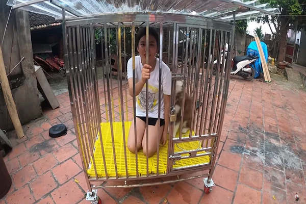 Nhốt em gái vào chuồng chó, con trai bà Tân Vlog lại gây bão