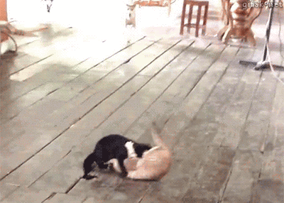 Đừng đánh nhau nữa nào.