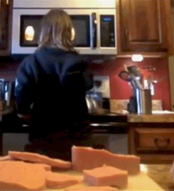 Chú chó cơ hội.