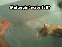 Ôi, thích quá!