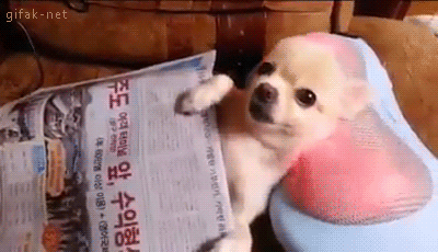Nằm trên chiếc gối này dễ chịu quá!