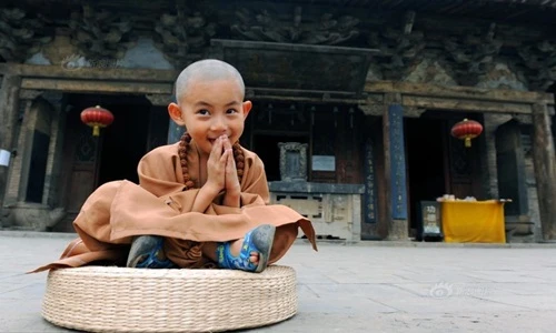 Chú tiểu đáng yêu khiến du khách, dân mạng mê mệt