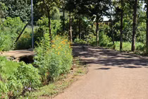 Nhà thầu Minh Nhật: “Ngôi sao” đang lên tại Bình Phước?