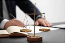 Đấu thầu tại Bến Tre: Chuyên gia kiến nghị làm rõ các dấu hiệu bất thường