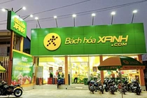Bách Hóa Xanh mở mới 410 cửa hàng, vượt kế hoạch sau 5 tháng 