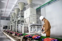 DGC báo lãi quý 2 đạt 854 tỷ đồng