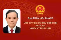 Tiểu sử ứng cử viên Đại biểu Quốc hội khóa XVI: Ông Trần Lưu Quang
