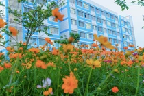 Công ty Thiên Phương và những gói thầu có tỷ lệ tiết kiệm 2,67% [Kỳ 1]