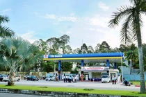 Cổ đông lớn của Tín Nghĩa là ai?