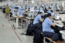 HTG bị phạt do khai sai thuế