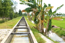 An Giang: Hiệu quả thực sự sau gói thầu sạt lở tiết kiệm gần 9% [Kỳ 5]