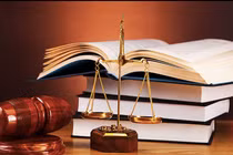 Công ty Xuân Bách trúng 34 gói thầu chỉ định năm 2025: Năng lực thực thi hay "kịch bản" định sẵn? [Kỳ 3]