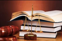 Công ty Xuân Bách trúng 34 gói thầu chỉ định năm 2025: Năng lực thực thi hay "kịch bản" định sẵn? [Kỳ 3]