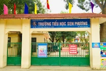 Gói thầu suất ăn Trường TH Sen Phương: Trúng thầu 0% tiết kiệm rồi bị hủy kết quả? [Kỳ 1]