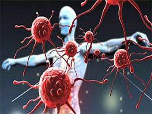 6 dấu hiệu cho thấy con người vẫn đang tiến hóa