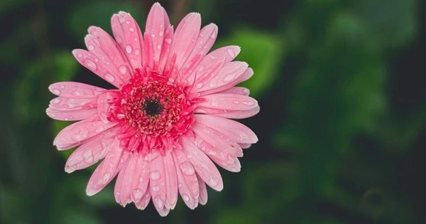 3 con giáp đổi vận rực rỡ ngay sau ngày vía Thần Tài