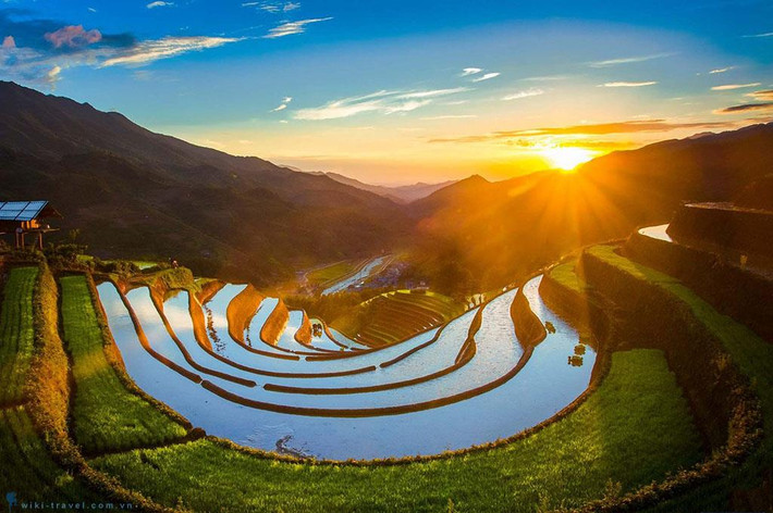 Những cánh rừng già tại Khau Phạ còn lưu giữ được nhiều loại động thực vật quý hiếm như thông dầu, chò chỉ và các loại chim muông, thú quý… Ngoài ra, Khau Phạ đẹp nhất vào mùa lúa, tầm tháng 9, tháng 10, khi lúa trên chân ruộng bậc thang chín vàng.