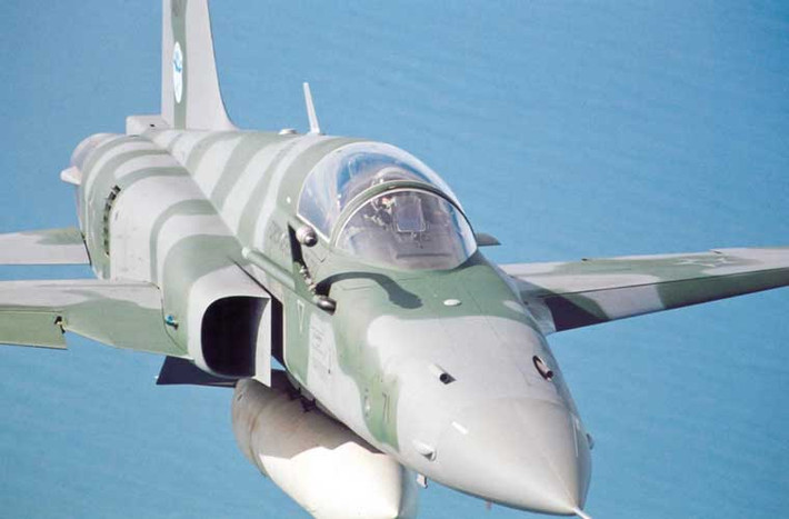 Tiêm kích F-5E trang bị 7 giá treo cho phép mang tổng cộng 3,2 tấn vũ khí gồm: bốn tên lửa không đối không AIM-9 hoặc AIM-120; hai đạn tên lửa đối đất AGM-65 Maverick và các loại bom dẫn đường, bom không điều khiển, rocket...