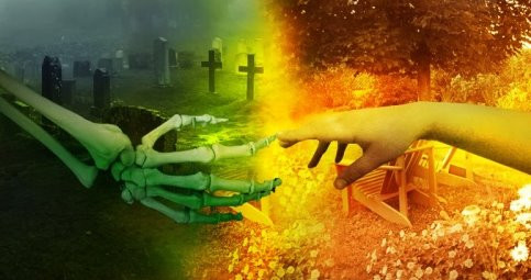 Cùng sự lý giải về sự sống và cái chết, trong cuốn sách, Thượng tọa Thích Nhật Từ nhấn mạnh đến quan niệm luân hồi trong Đạo Phật. Phật giáo đưa ra những giáo lý về luân hồi rất phù hợp với khoa học hiện đại chứng minh về vật chất – không có gì mất đi vĩnh viễn mà chỉ chuyển từ trạng thái này sang trạng thái khác.