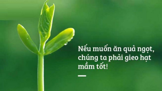 Vì thế, khi còn sống hãy biết gieo nhân lành để nhận quả ngọt. Người sống ở đời, gieo nhân nào gặt quả nấy, nhân quả tuần hoàn, chà đạp lên luân thường đạo lý luân ắt sẽ nhận phải báo ứng, dù cho đến kiếp sau quả báo vẫn phải nhận lấy.