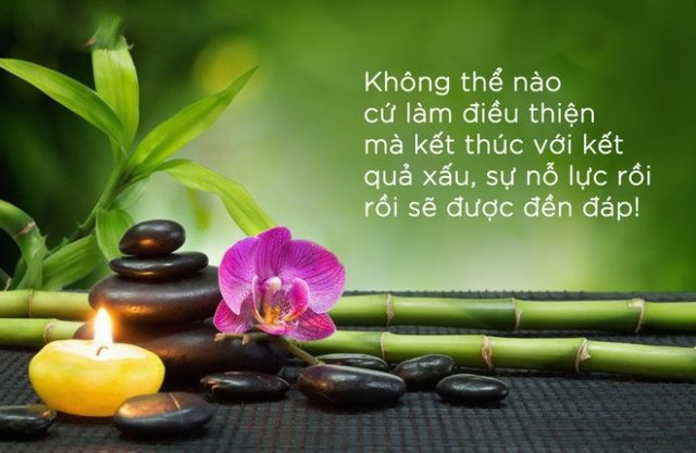 Gieo nhân gặt quả. Đừng bao giờ nghĩ rằng mình làm việc xấu, sống ghen ghét, đố kị nhưng vẫn chưa thấy nghiệt báo ở phía mình. Nghiệt báo vẫn luôn tồn tại ở đó, chỉ là đến sớm hay đến muộn mà thôi. Có thể đời này chưa nhận thì đời sau sẽ nhận, hoặc đến đời con, đời cháu phải trả nghiệp cho cha ông.