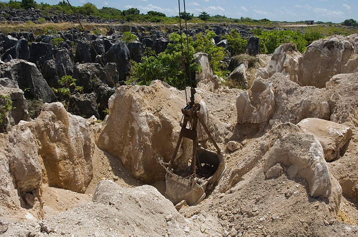 Sau khi giành độc lập, Nauru nhanh chóng thu hút sự đầu tư nước ngoài nhờ những mỏ phosphate dồi dào từ hóa thạch phân chim biển.