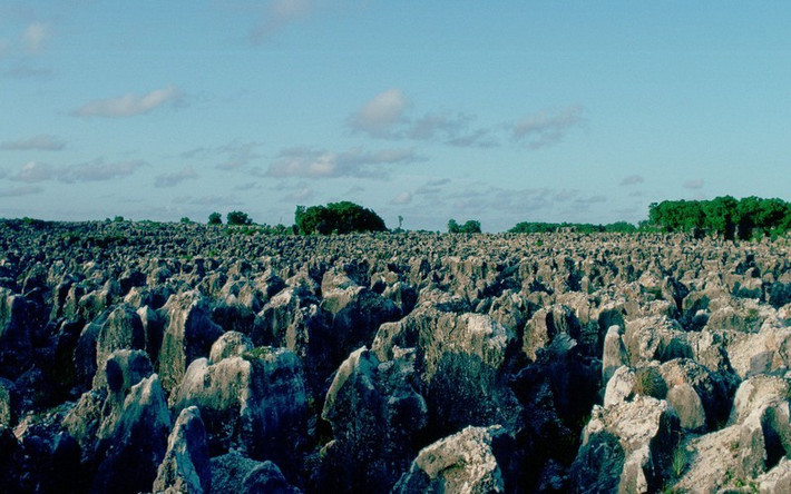 Nauru đã kiện lên tòa án quốc tế yêu cầu các công ty nước ngoài bồi thường vì đã làm ô nhiễm tài nguyên. Tất nhiên là Nauru thành công khi Australia đồng ý trả 2,6 triệu USD/năm trong vòng 20 năm trong khi New Zealand và Anh trả một lần 12 triệu USD. Dẫu vậy con số này là không đủ với một quốc gia chẳng còn gì ngoài một hòn đảo ô nhiễm.