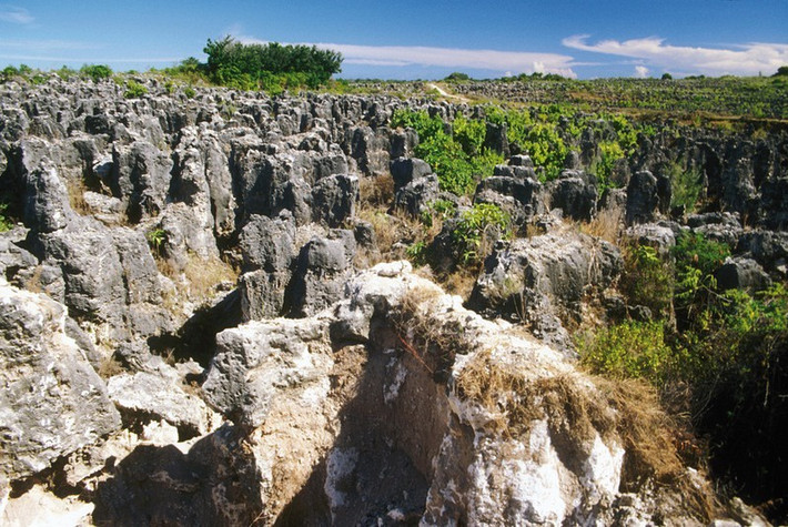 Chính nhờ mảng khai khoáng mà nền kinh tế Nauru bùng nổ, người dân sống sướng mà không phải đánh cá hay trồng trọt, hái lượm nữa.