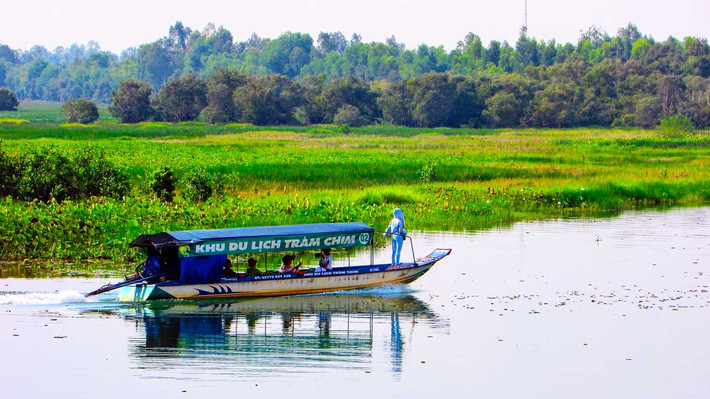Hệ cá ở vườn quốc gia Tràm Chim cũng không kém phần phong phú, vừa đóng vai trò cân bằng sinh thái, vừa là nguồn thức ăn cho các loài chim. Trong đó có một số loài cá nằm trong danh sách đỏ Việt Nam như: cá còm, cá mang hổ, cá ngựa nam, cá duồng bay…