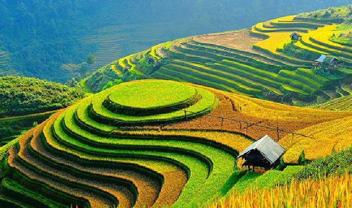 Vẻ đẹp thiên nhiên 4 mùa: Nhờ diện tích trải dài trên nhiều vĩ độ nên khách quốc tế có thể đến Việt Nam vào bất cứ thời gian nào trong năm như thăm Tây Bắc vào mùa nước đổ (tháng 5-6) hoặc mùa lúa chín (tháng 9-10); ngắm cảnh biển lúc bình minh/hoàng hôn hay trải nghiệm sông nước miền Tây mùa nước đổ (tháng 9-11)...
