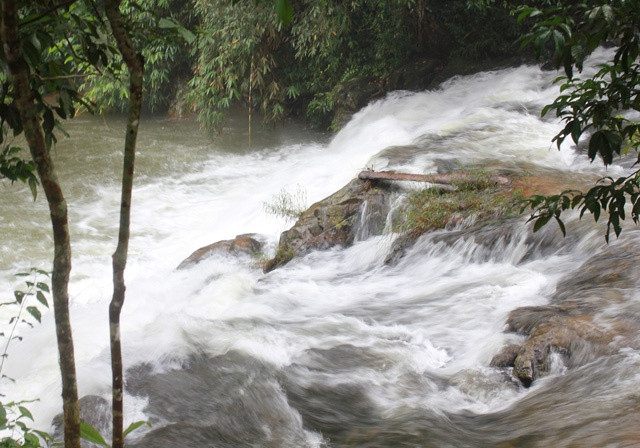 Đường đi xuống thác Tam Hợp vô cùng hiểm trở, chỉ một đoạn ngắn bậc thang lát đá còn sau đó phải băng qua rừng rậm rạp bóng cây cổ thụ, rễ cây chằng chịt dọc lối đi.