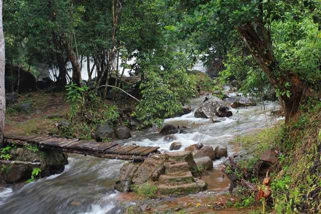 Có đoạn đường mòn đất đỏ trơn trượt, dốc thoai thoải, phải bám vào nhánh cây mà trườn người xuống, hay đoạn qua cầu gỗ mỏng manh, bên dưới là dòng nước cuồn cuộn chảy xiết khiến không ít người thót tim.