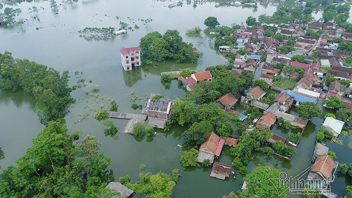 250ha lúa, 150ha hoa màu, 68ha nuôi trồng thủy sản bị mất trắng. Khoảng 25.000 con gia cầm và 500 con lợn đã bị chết vì ngập nước, đói ăn hoặc không đủ sức đề kháng