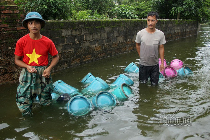 Đến thời điểm này, xã Nam Phương Tiến vẫn đang bị cắt điện, nhiều người dân phải đi nấu cơm nhờ những nhà ở điểm cao hơn, hoặc những nơi không bị ngập, đã có điện