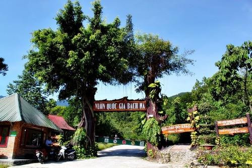 Với cảnh quan đẹp, khí hậu mát mẻ vào mùa hè chỉ từ 18 - 23 độ C, Bạch Mã được biết đến rất sớm.