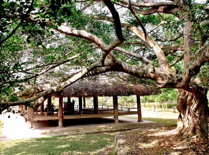 Thời Pháp thuộc, tổ chức hành chính tỉnh Tuyên Quang có nhiều biến đổi. Ngày 09/9/1891, Toàn quyền Đông Dương ra nghị định thành lập 4 đạo quan binh ở Bắc kỳ, đã phân chia địa giới tỉnh Tuyên Quang vào các đạo Quan binh 2 và đạo Quan binh 3.