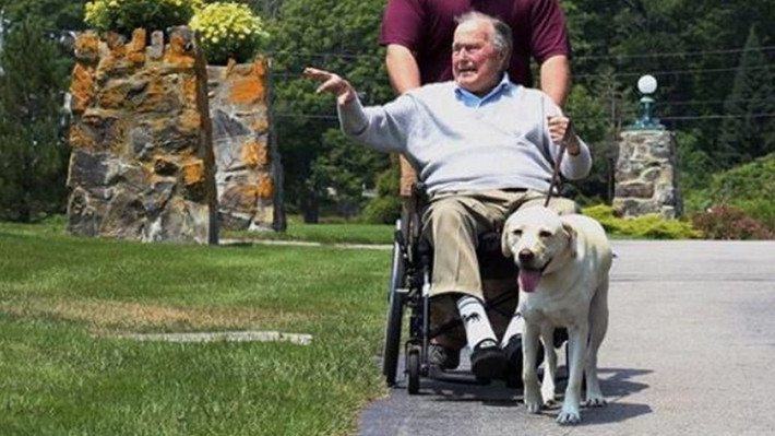 Cố Tổng thống Bush "cha" phải ngồi xe lăn trong những năm cuối đời. Sully giúp ông Bush đi lấy các đồ vật bị rơi, mở và đóng cửa, nhấn nút kêu cứu và hỗ trợ cho ông khi ông đứng lên.