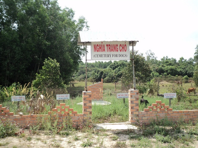 Ngay trước cổng vào nghĩa trang của đồng loại, lúc nào cũng có một chú chó to khỏe làm nhiệm vụ quản trang, không cho những kẻ “lạ” vào đào bới.