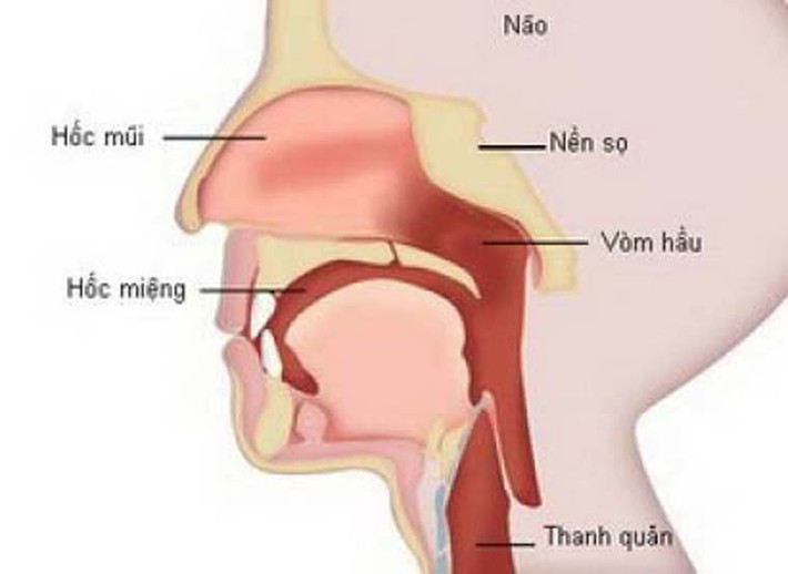 Bên cạnh đó, tiếp xúc với bụi từ da, gỗ hoặc vải dệt, hơi formaldehyde, niken… cũng làm tăng nguy cơ này.