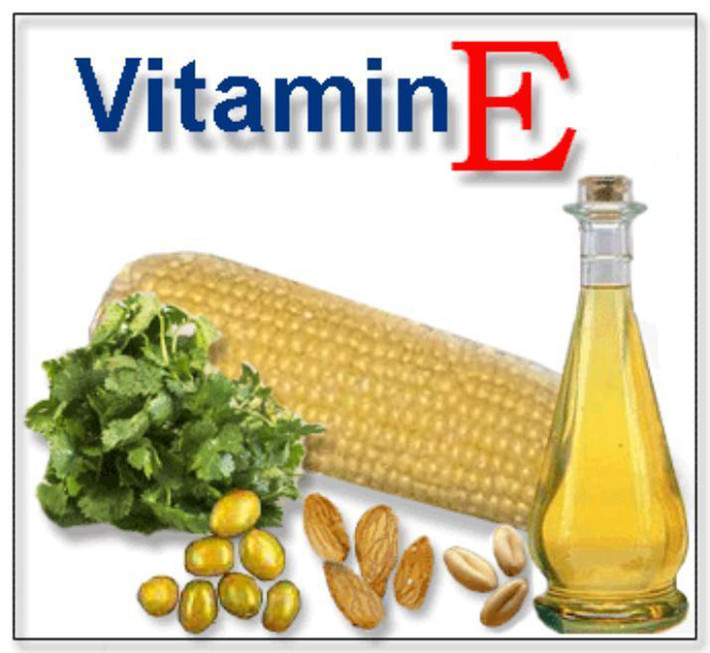 Đồng thời, vitamin E cũng mang lại hiệu quả ngừa ung thư da bất ngờ. Nó có khả năng tan trong chất béo mà không bị oxy hóa, hấp thu dễ dàng qua da. Việc bổ sung vitamin E từ thực phẩm trong bữa ăn hàng ngày hoàn toàn có lợi. Đặc biệt, ngoài tác dụng ngăn ngừa ung thư da, vitamin E còn được chứng minh giúp giảm thiểu các vấn đề về tim mạch.