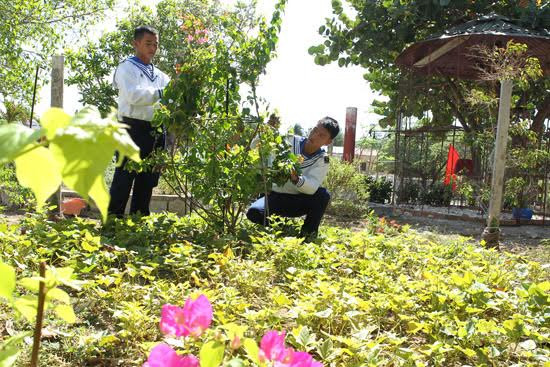 Chiến sĩ Hải quân tại các đảo, điểm đảo ở Trường Sa không chỉ giúp các loài hoa chiến thắng thời tiết, khí hậu mà còn tạo dáng để hoa thêm đẹp và lung linh hơn.